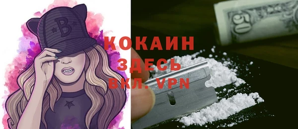 молекула духа Богородск