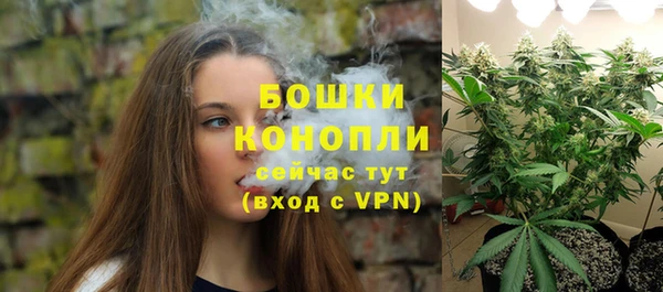 молекула духа Богородск