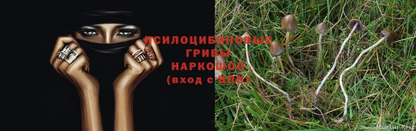 молекула духа Богородск
