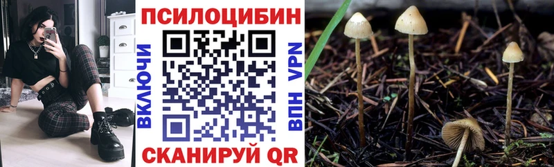 hydra ТОР  Симферополь  Псилоцибиновые грибы мухоморы 
